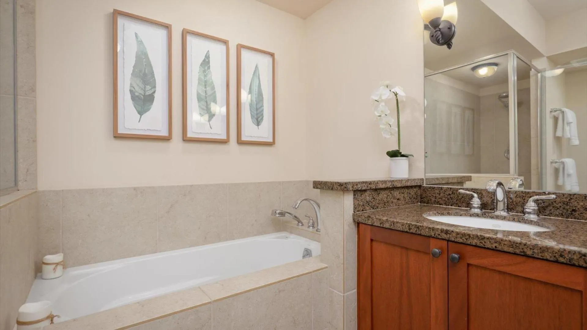 Hale Ho'Omana'O Villa Waikoloa Holiday home